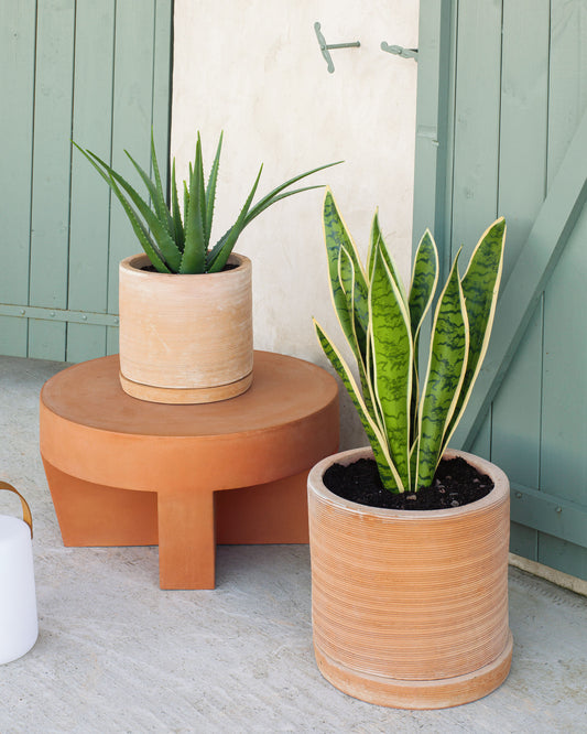 Karlina set of 2 terracotta plant pots with dishes, Ø 33 cm / Ø 24 cm