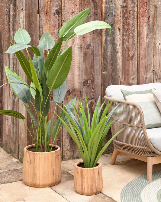 Yucca artificial plant