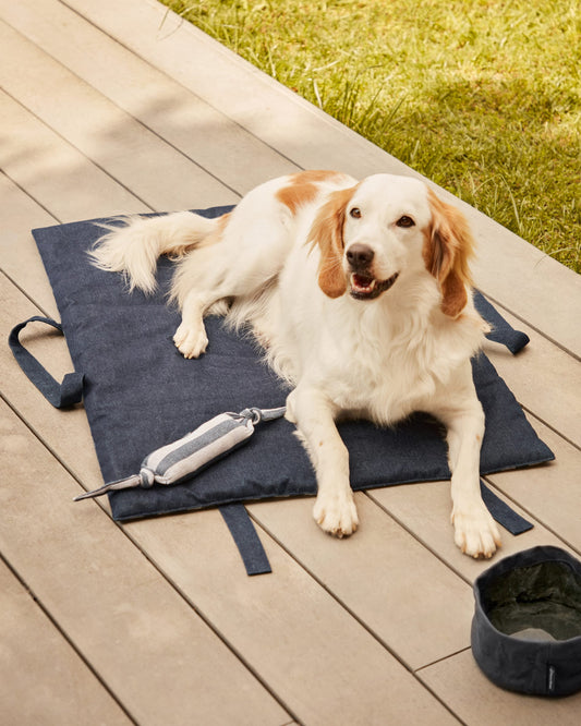 Tabby 100% cotton portable pet blanket with blue and grey stripes, 60 x 80 cm