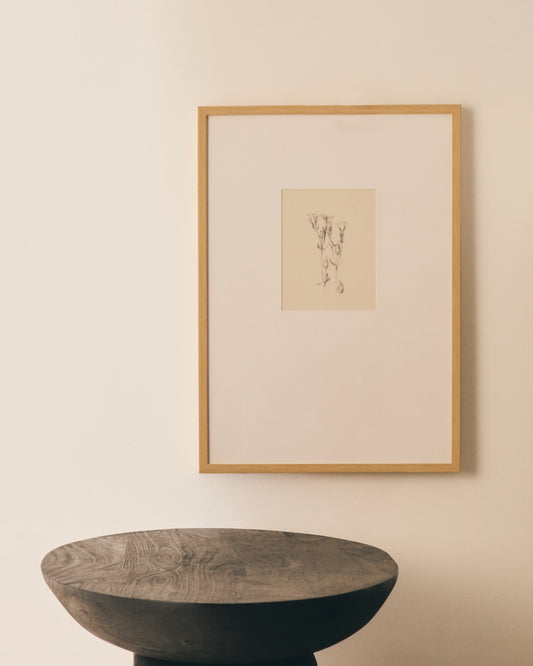 Lirena picture with botanical illustration 50 x 70cm