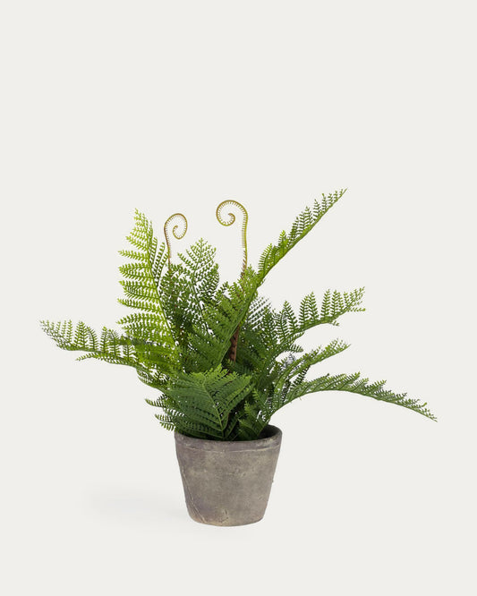 Filicopsida artificial plant