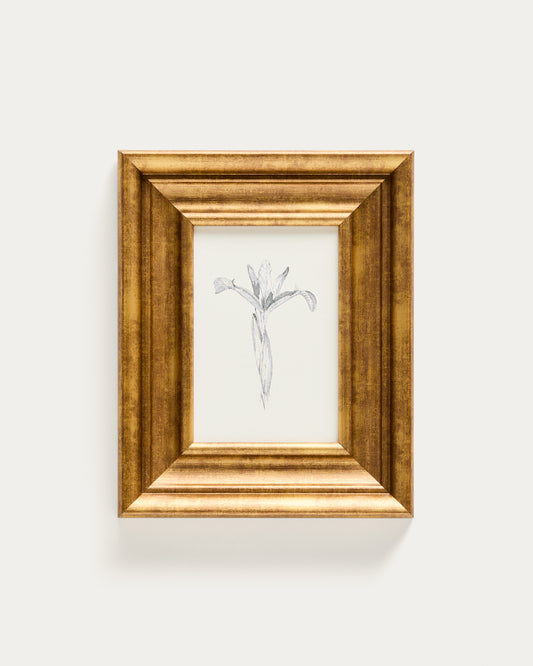 Yalira picture with botanical illustration 33 x 41 cm