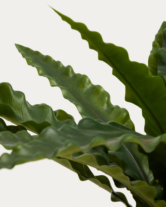 Artificial Neottopteris plant with white pot 70cm