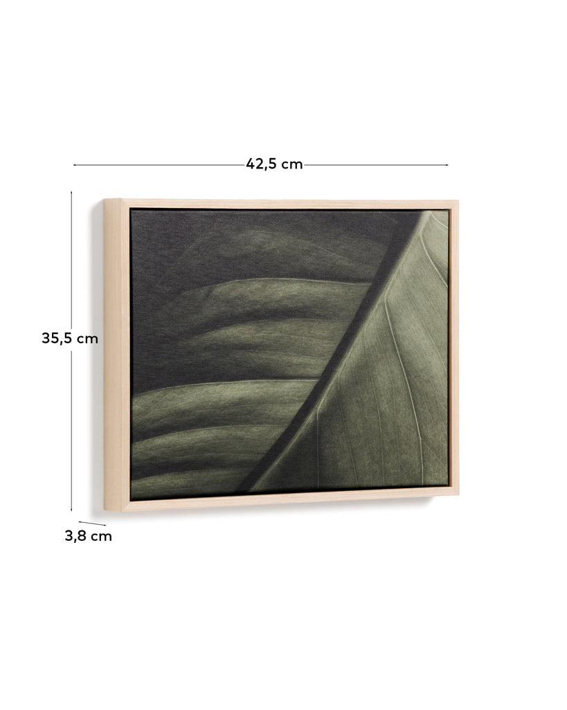 Foliae leaf photograph picture 32.5 x 42.5cm