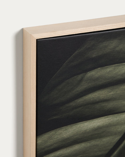 Foliae leaf photograph picture 32.5 x 42.5cm