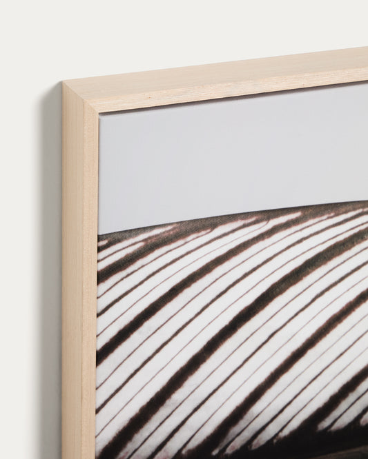 Foliae leaf photograph picture 52.5 x 62.5cm