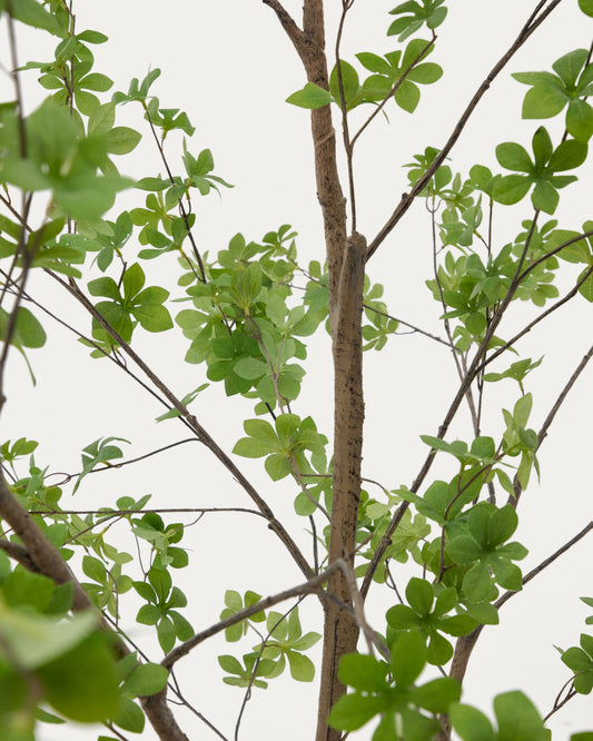 Enkianthus artificial tree with black pot 214 cm