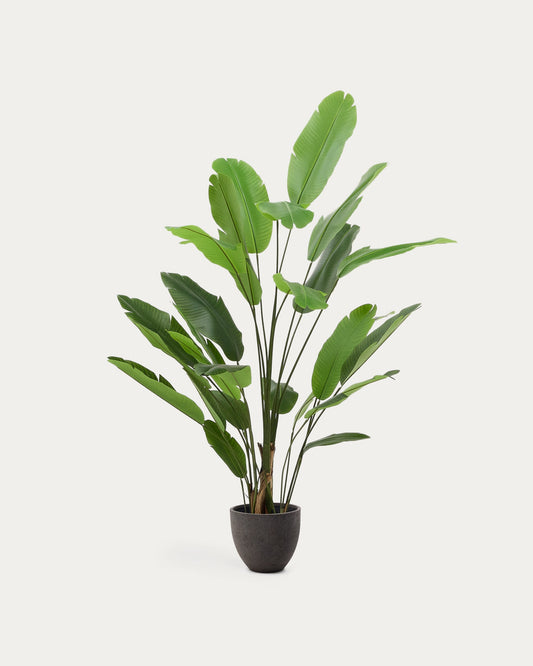 Artificial Banana plant in black pot 210 cm