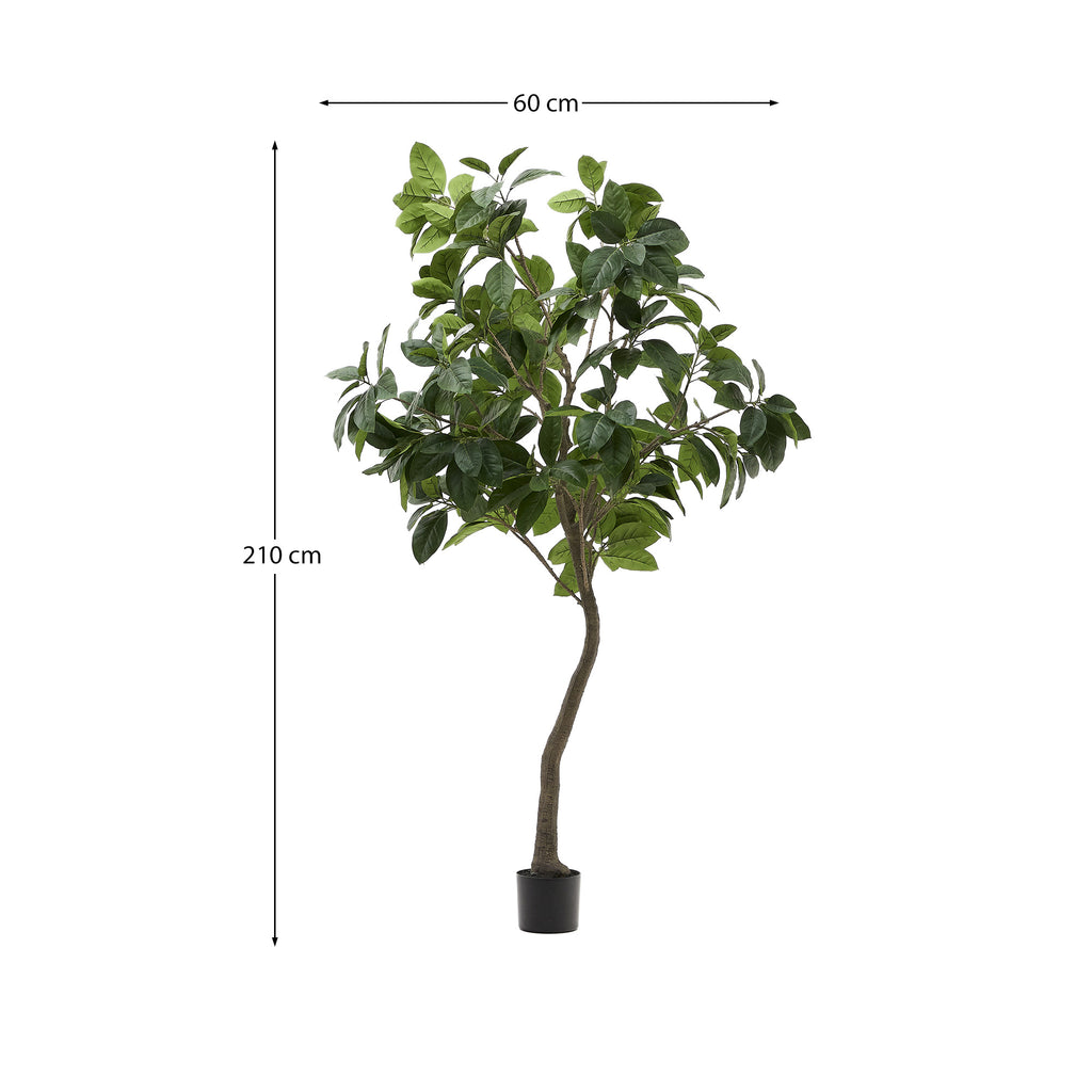 Artificial Ficus tree in black pot 210 cm
