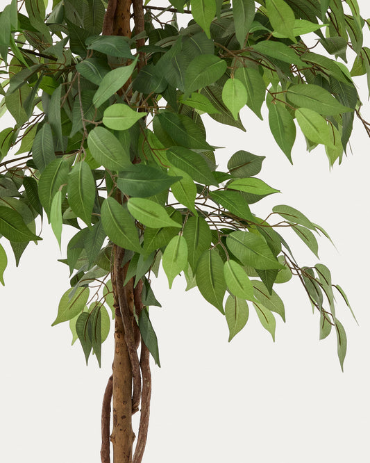 Artificial Ficus tree in black pot 180 cm