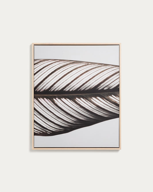 Foliae leaf photograph picture 52.5 x 62.5cm