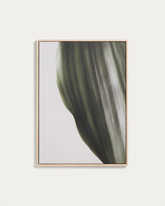 Foliae leaf photograph picture 52 x 72cm