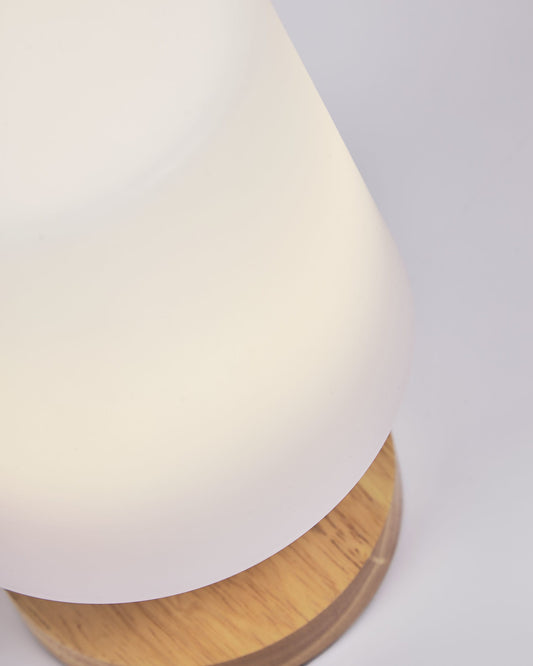 Ambar table lamp in polythylene and wood